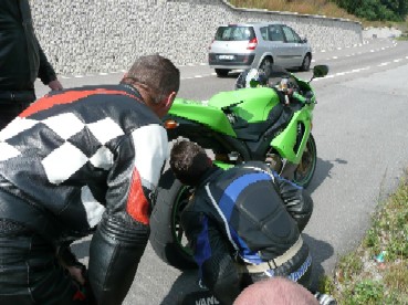 Reparaturversuch am Laubfrosch