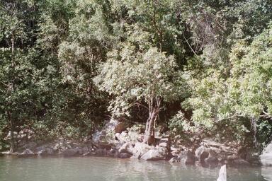 Pirenopolis