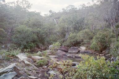 Pirenopolis