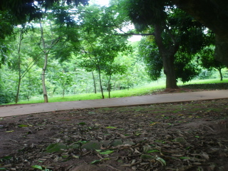 Goiania